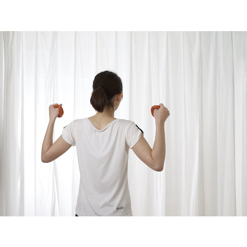 TANITA Ring Dumbbell 0.5kg x 2 TS-966-OR TS-966-OR 1 S