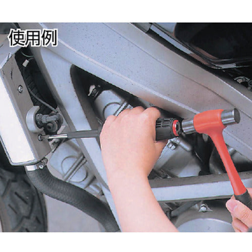 ANNEX Grip Driver, Vis Breaker Driver, Wanidora, Cutting Edge +2 x Shaft Length 100mm, Total Length 219mm, 3960-2-100, 1 Piece