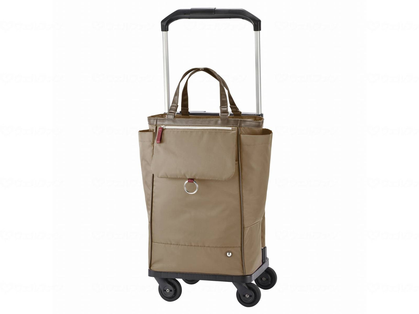 에이스 에르테르 오토 아이라이 치코코르그레