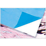 スミロン 表面保護フィルムPE2本入 ブルー 1250mm×100m E-212BS-1250 1 CS