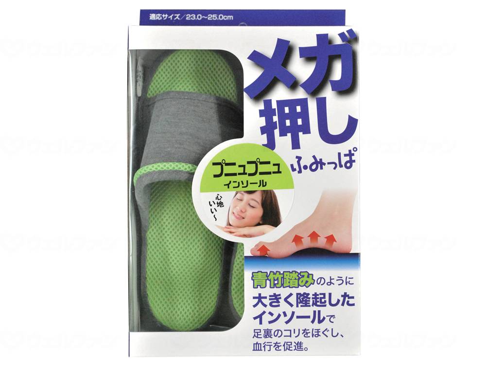 알팩스 메가 푸시 후미파