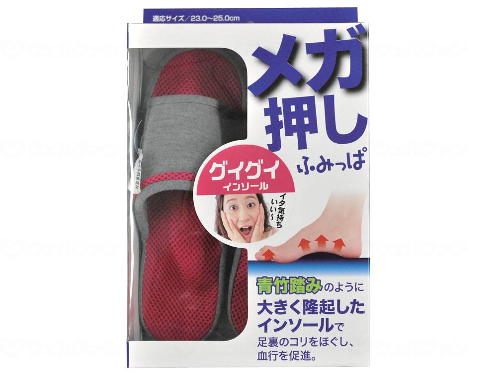 알팩스 메가 푸시 후미파