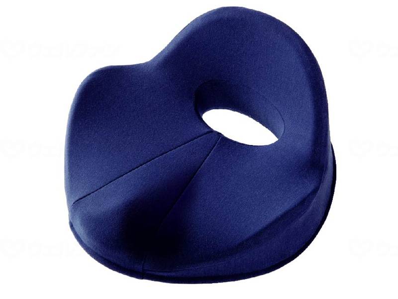 알팩스 선골 쿠션