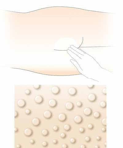 リモイスバリア レギュラー / 18031 160g 1 本