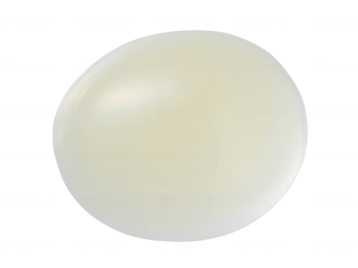 일본 제톡 키쿵 꿀 미스터 책 90g