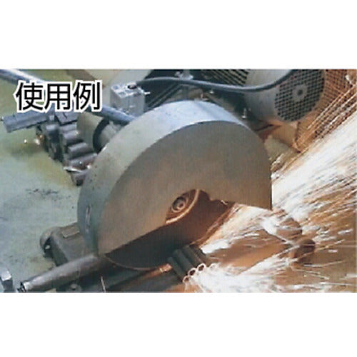 Resibon Cut RC 100 x 2 x 15 A46S RC1002-46 10 sheets