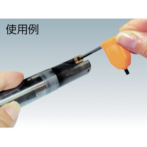 TRUSCO ヘックスローブレンチセット 5本組(旗型レンチ) TTW-5S 1 S