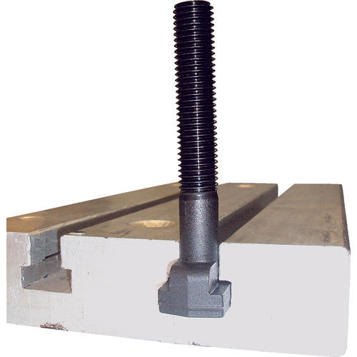 SUPER T-slot bolt (M24) T-slot: 24 H (mm): 175 TBM-24175 1 piece