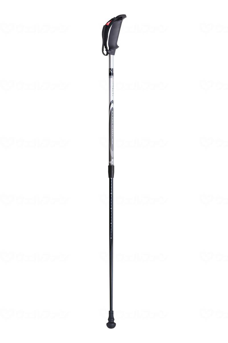 Kizaki Nordic Pole Black