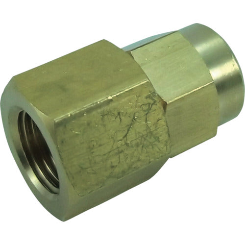 Chiyoda Hose Socket 4 x 6mm Rc1/8 H4-1F 1 pc