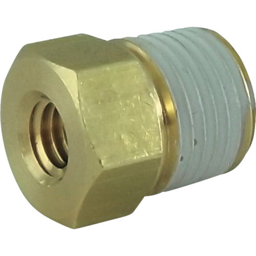 치요다 배관 피팅 테라핀 커넥터 부시 육각대변 10mm (10개입) 01M5-B 1봉