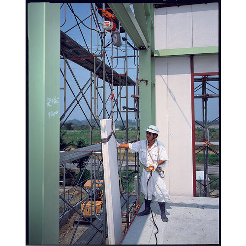 KITO Electric Chain Block KITO Select 2-speed selection type 60kg x 3m ED06SD 1 unit