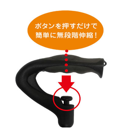 神戸すてっき / VE100WD 木目 1 本