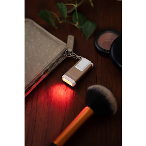 LEDLENSER K6R Gold 502578 1 個