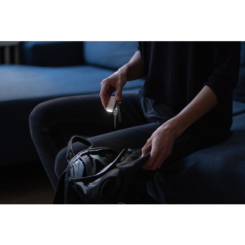 LEDLENSER K4R Gold 502575 1 個