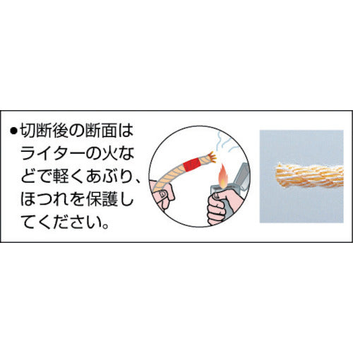 TRUSCO PVトラックロープ 3つ打 線径12mmX長さ10m TR-1210PV 1 巻