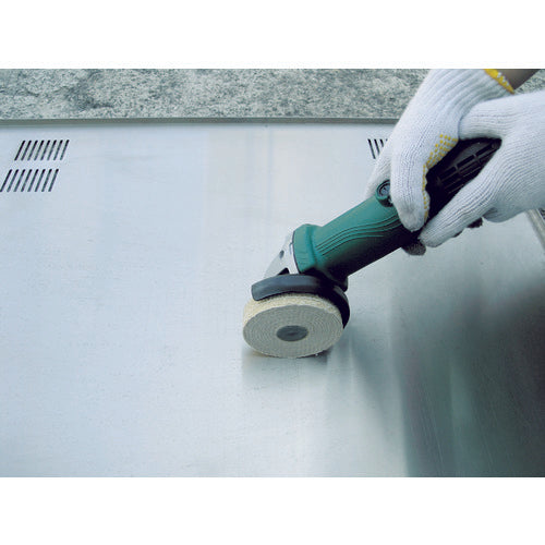 TRUSCO GPサンダーサイザル ねじ込み式 Φ100 5個入 TGPSS10025 1 箱