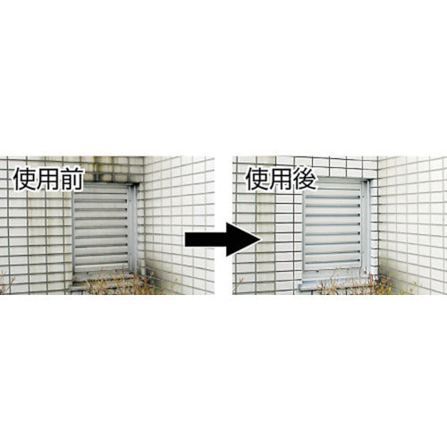 KANSAI 업무용 세제 부활 세제 300ml 타일용 투명 00017660012300 1개