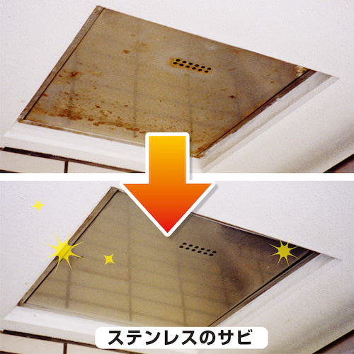 칸사이 부활 세정제 300ml 스테인리스 용 00017660032300 1 개