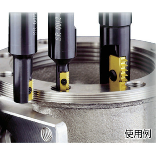 NOGA ミルスレッド ツールホルダー SR0021H21 1 本