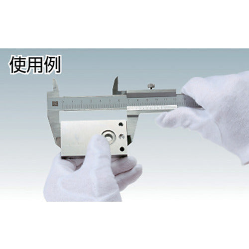 SK シルバー標準型ノギス 1000mm TVC-100 1 本