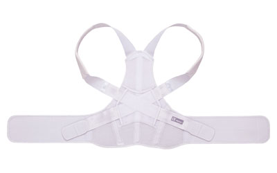 お医者さんのがっちり背すじベルト / AP-202806 M-L 1 個