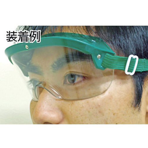 Riken Goggles (can be used with glasses) M5-N 1 piece