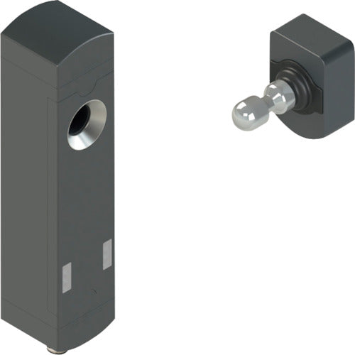 Pizzato RFIDセーフティードアスイッチ NSタイプ(ロック機構付き) NSH3ZZ1SMK-F40 1 個