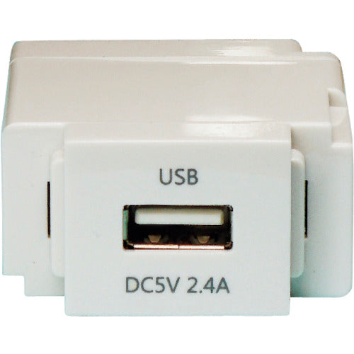 NOATEK 재조합식 USB 콘센트(밀키 화이트) N-USB0241W 1개
