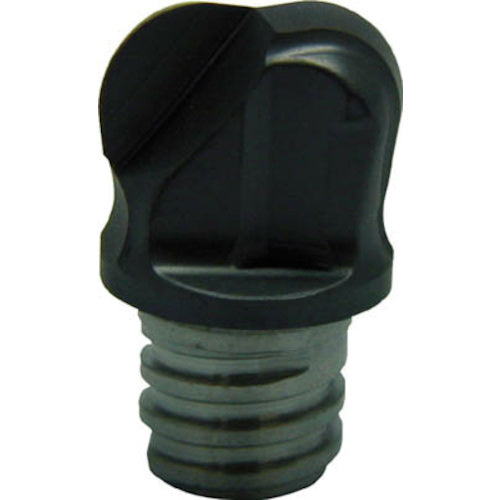 이스컬 멀티 마스터 가공 헤드 2매 블레이드 토로이드 5°/7° 도망 부착 IC908 MM HT100N06R2.0-2T06 2개