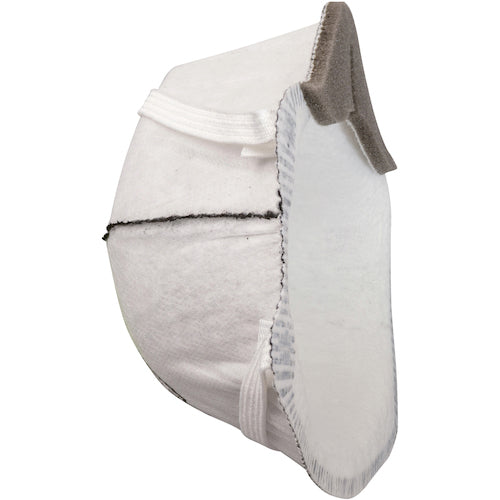 NRS 워커 마스크 2503-DS2 활성탄 함유 WM2503 10장