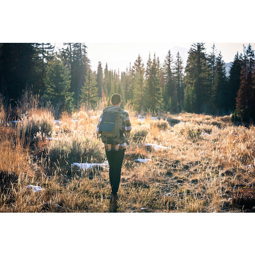 GoalZero 折り畳み式ソーラーパネル ノマド10 11900 1 個