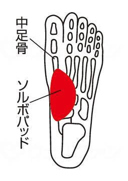 삼진 흥산 아르보타 테이터 포포터 얇은(1발입)