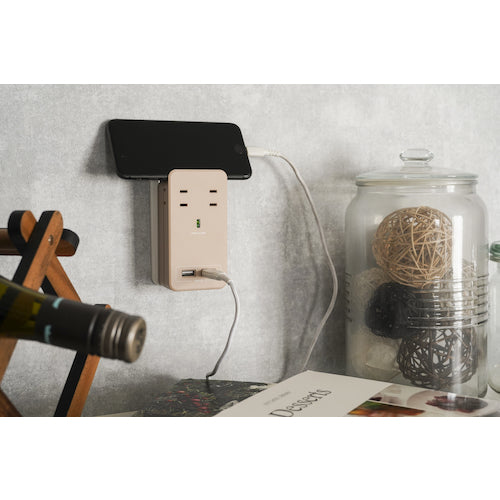 Fargo SATI COLOR AC4個口 4.2A USB ラテベージュ CT221BE 1 個