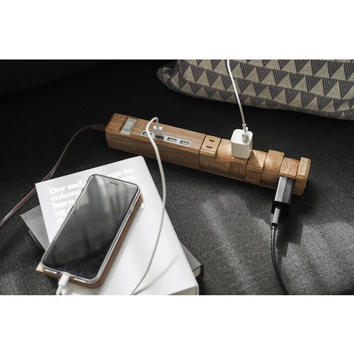 Fargo TAPKING USB AC6個口 4.8A USB4ポート ベージュウッド PT605BEWD 1 個
