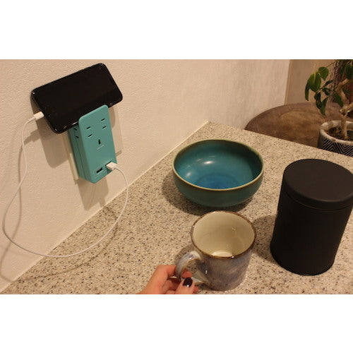 Fargo SATIO COLOR AC 4개 입 4.2A USB 라이트 블루 CT221LB 1개