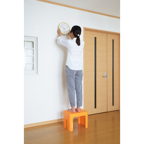 SANKA 데코라 스텝 토르 S 오렌지 DS-TSOR 1대