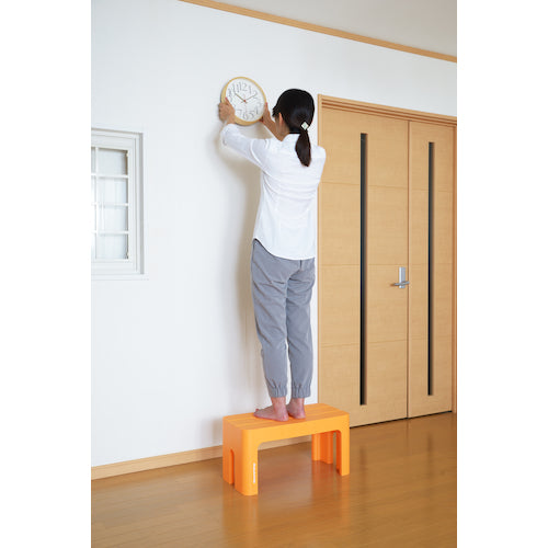 SANKA 데코라 스텝 토르 L 오렌지 DS-TLOR 1대