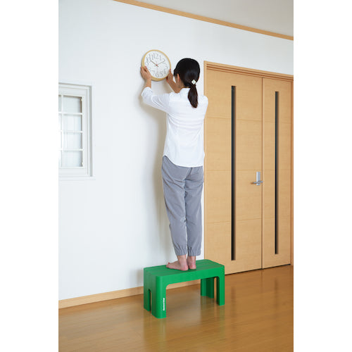 SANKA 데코라 스텝 토르 L 그린 DS-TLG 1대