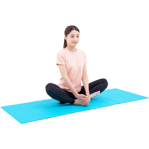 아이미디어 접는 운동 매트 블루 1009402 1 pc