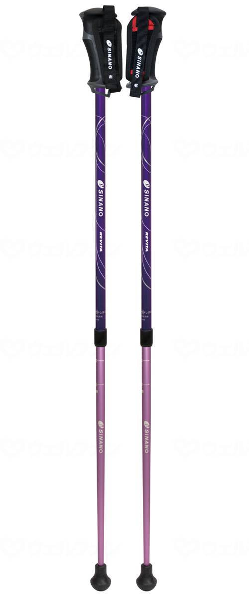 시나노 레비타 · 넥스트 파플