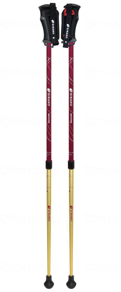 Shinano Levita Next Bordeaux