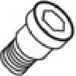 Tungaloy Parts Clamping Screw DTS5-3.5 1 piece