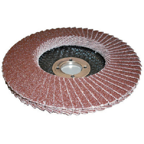 AC PGA-X Flap Disc A PGAX10015-A-80 10 pieces