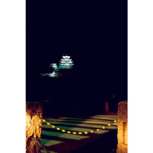 TRUSCO 스테인리스 컷 체인 체인 아이 부착 5.0mmX2m TSC-502A 1개