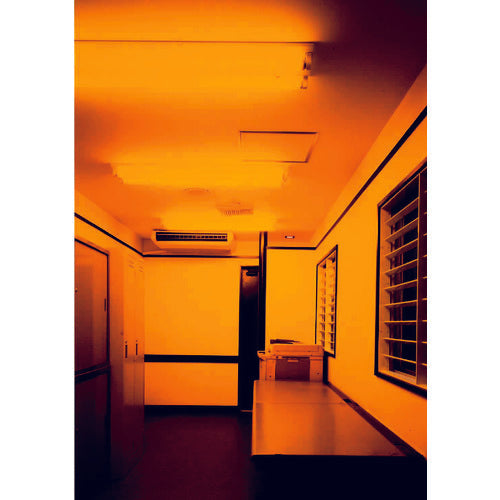 Vanguard Orange 40W Regular BG-OR-40W-R 1 unit