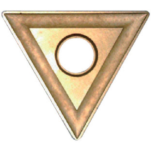 후지모토 C 모따기용 병급 칩 초경 M종 TiN 코팅 NK3030 T32MOR 12개