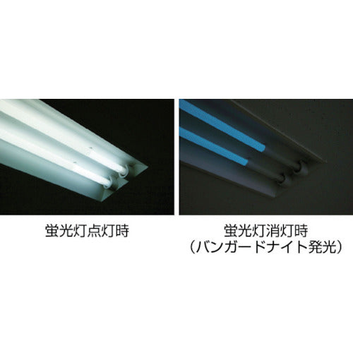 バンガード 【売切廃番】蛍光灯蓄光システム バンガードナイト 内径28×外径29×長さ500mm BG-N-500L 1 本