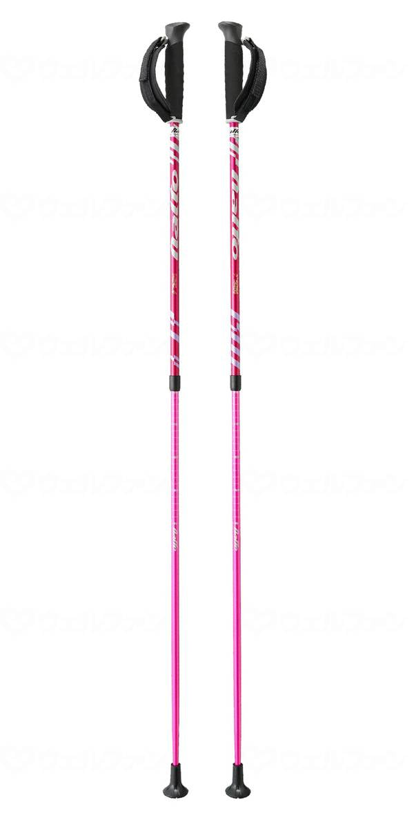 그루프 N 에이커 14 로즈