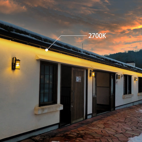 tlight LEDモジュール Viewmo24 3000K L3000 TLVM+302-33P-030-WWC 1 本